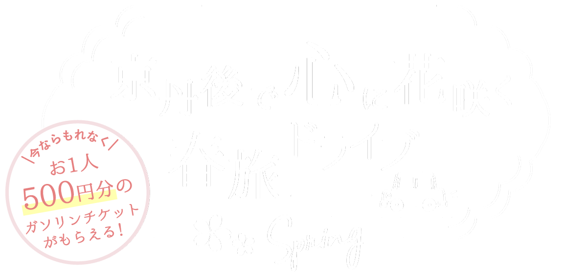 京丹後で心に花咲く春旅ドライブ 京丹後ナビ 京丹後市観光公社 公式サイト