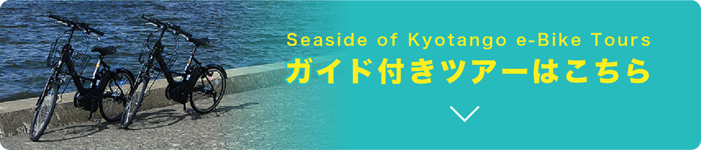 ガイド付きツアーはこちら