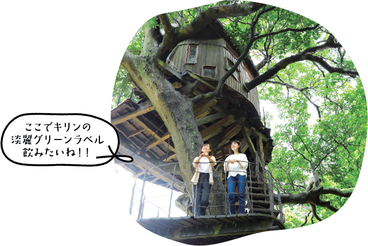 キリン淡麗グリーンラベルのロケ地 京丹後市にある海辺のツリーハウス 京丹後ナビ 京丹後市観光公社 公式サイト