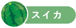 スイカ