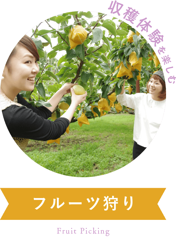 収穫体験を楽しむ フルーツ狩り