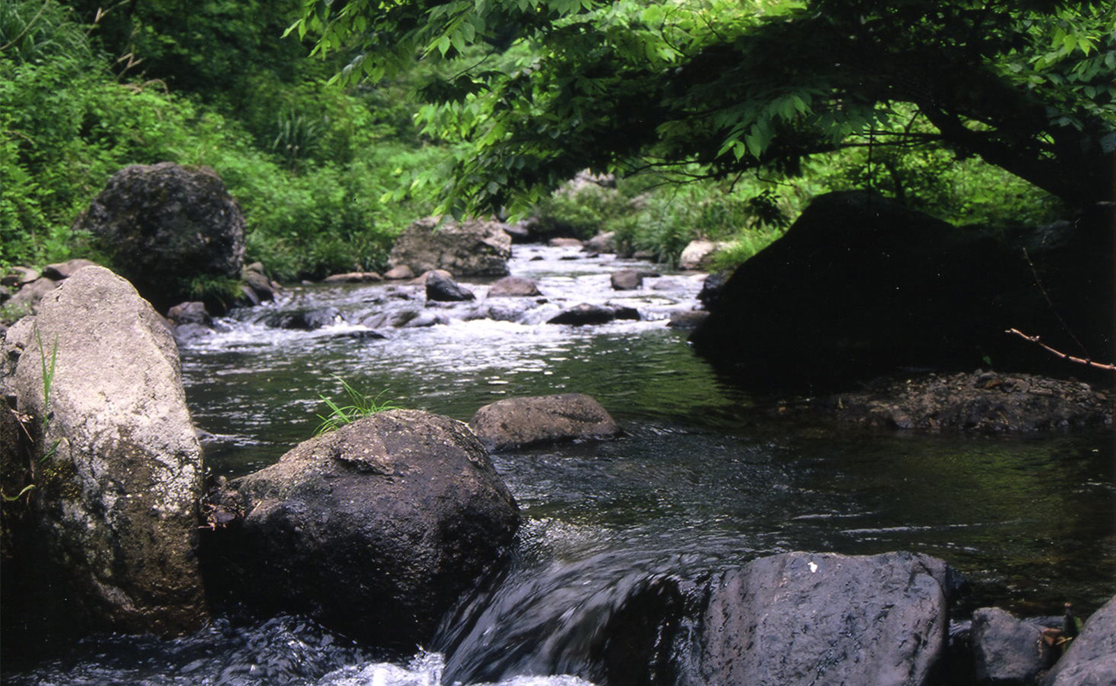 野間川