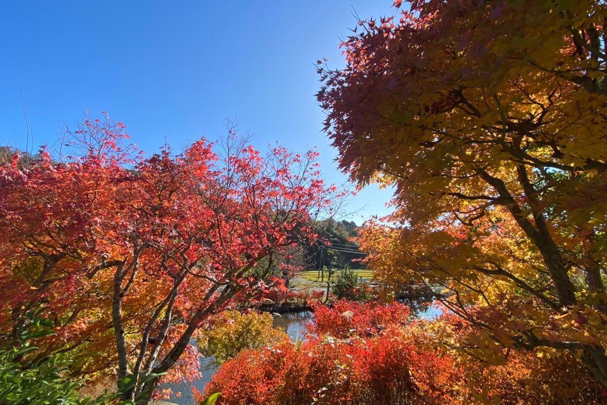 小町公園
