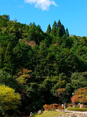 山で楽しむキャンプ場