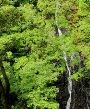 味土野ガラシャ大滝