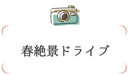 春絶景ドライブ