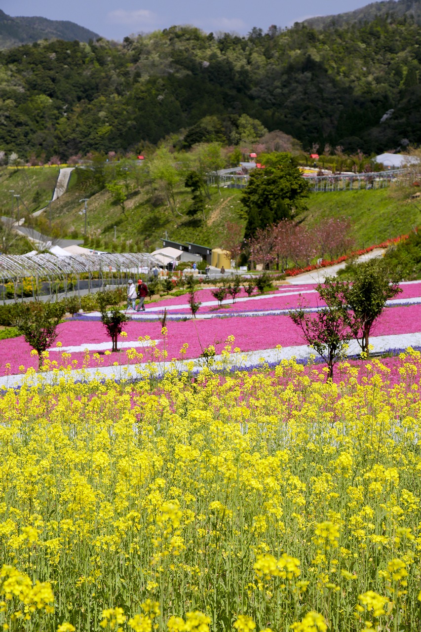 花郷OKADA - 観光 - 「京丹後ナビ」京丹後市観光公社 公式サイト