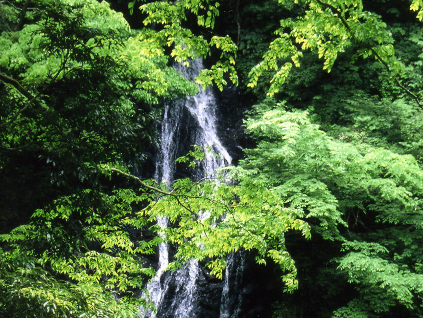 味土野ガラシャ大滝