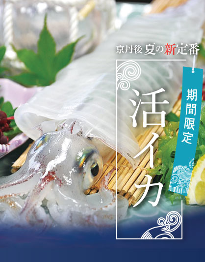 活イカ 食の情報 京丹後ナビ 京丹後市観光公社 公式サイト