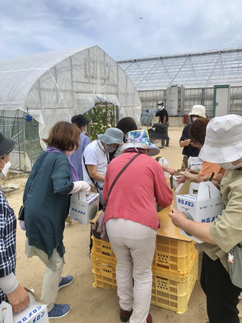 メロン箱入れの様子