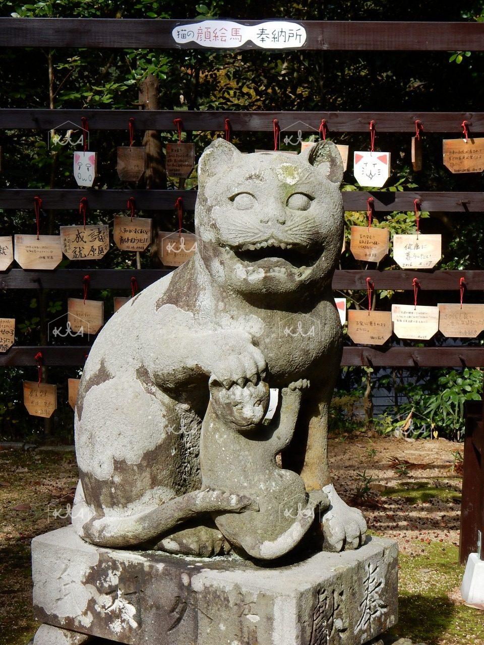 こまねこ