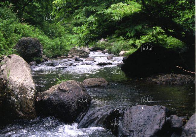 Noma River