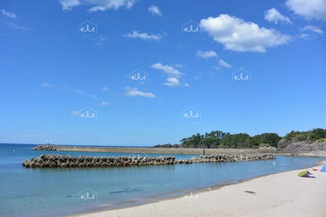 ๋์นดํ๋ง ํด์์์ฅ(2)