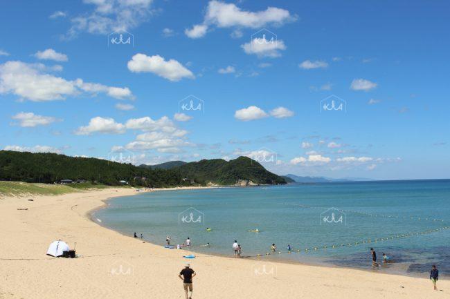 ์ฝํ ์ธํ๋ง ์ ํด์์์ฅ(2)