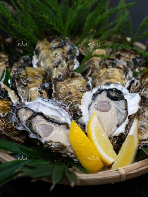 Kumihama oysters (2)
