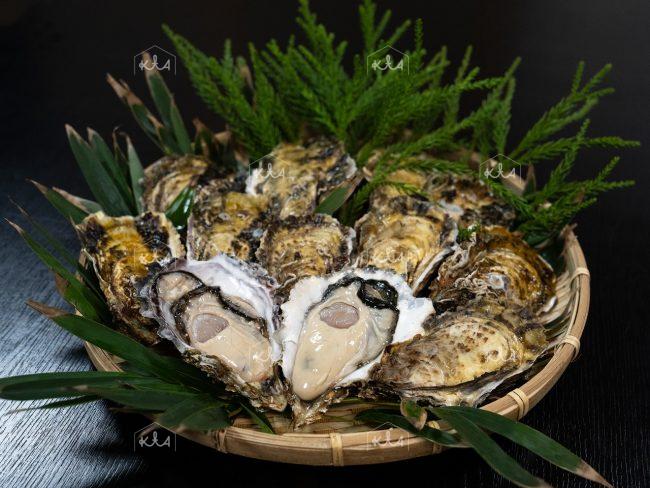 Kumihama oysters (5)