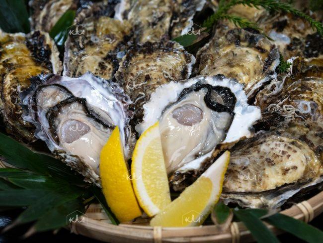 Kumihama oysters (3)