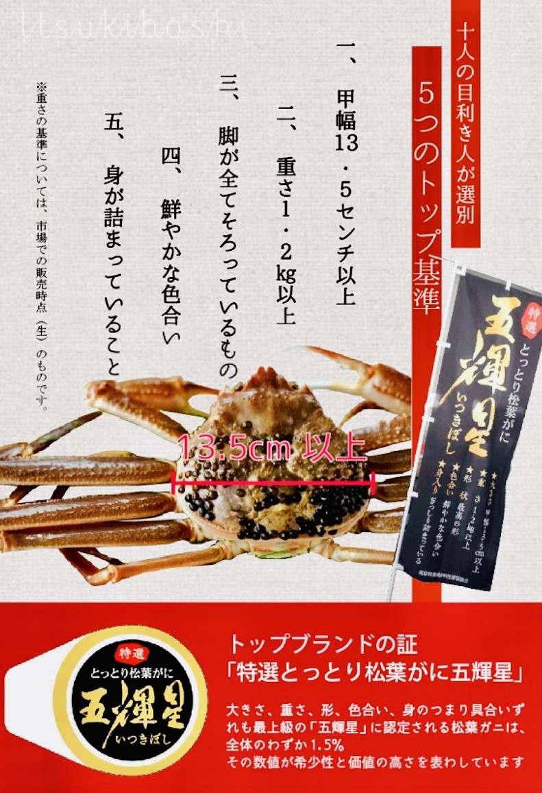 丹後水揚げのズワイガニトップブランド設定へ新タグで流通も「見える化