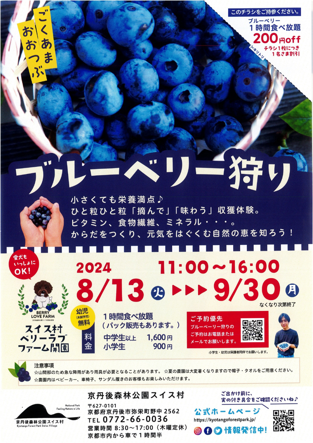 スイス村ベリーラブファーム開園中！ - 「京丹後ナビ」京丹後市観光