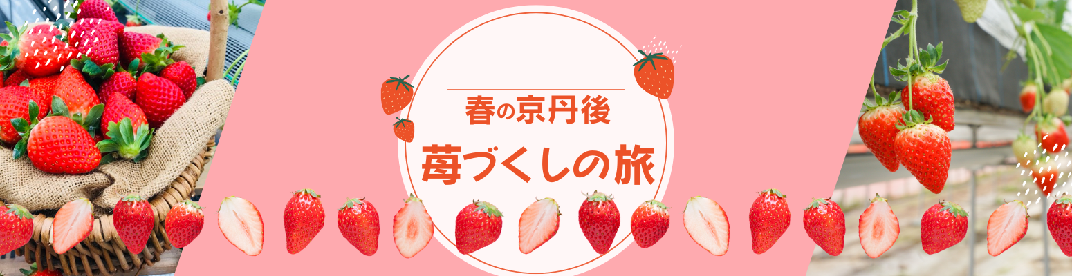 春の京丹後-苺づくしの旅-