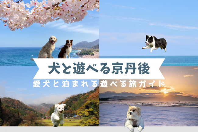 愛犬と楽しむ海辺の休日旅