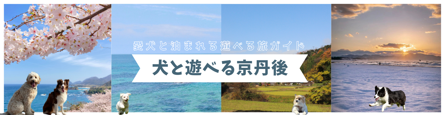 犬と遊べる京丹後