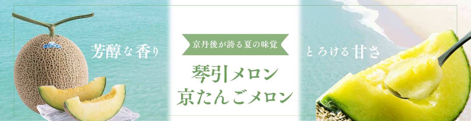 -とろける甘さと芳醇な香り-<br>京丹後が誇る夏の味覚。<br>琴引メロン｜京たんごメロン