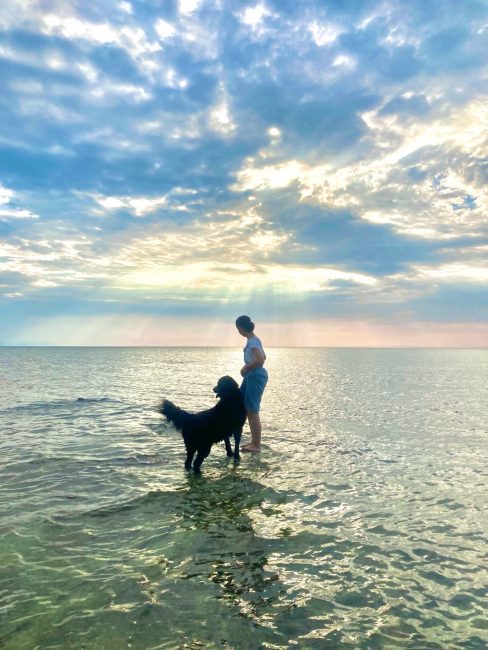 愛犬と楽しむ
-海辺の休日旅-